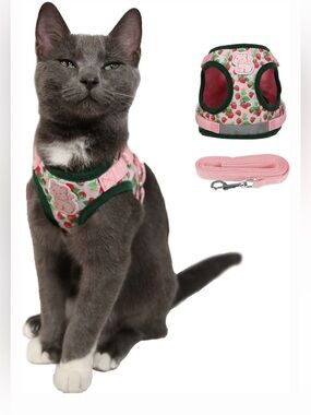 Limited edition travel cat strawberry shortcake harness and leash set - large